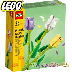 2021 Lego Seasonal Лалета 40461