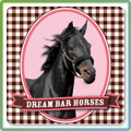 Dream Bar Horses